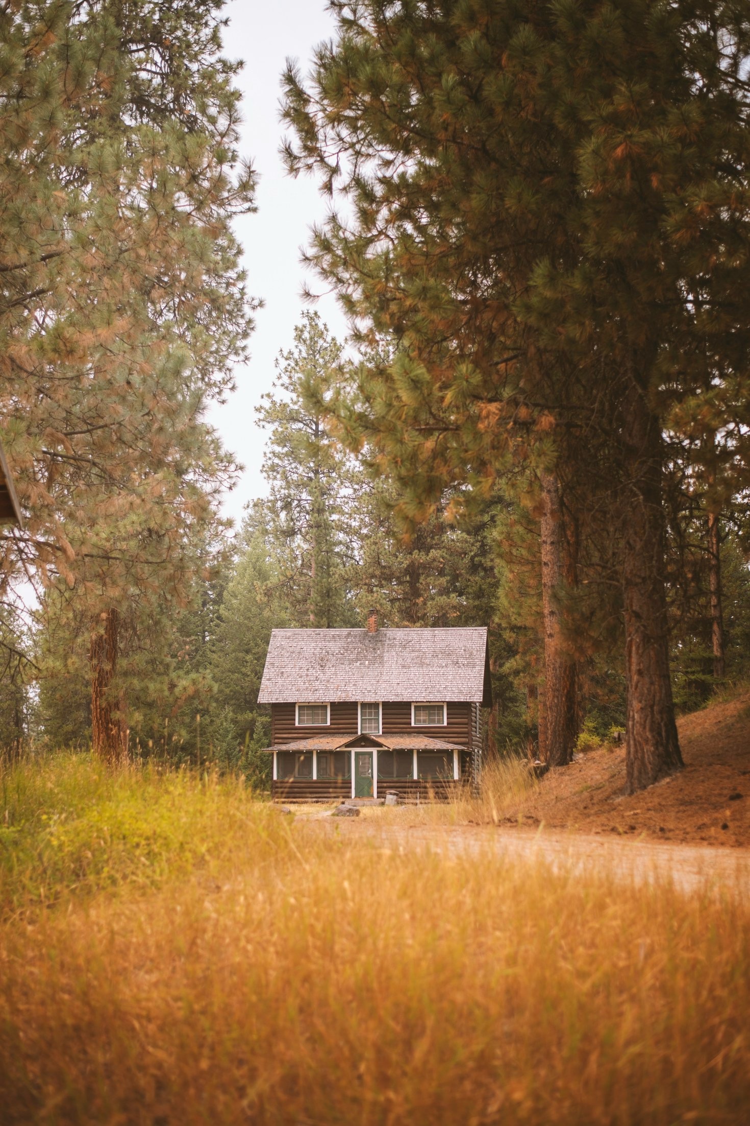 Five Essential Tips For Starting Your Homestead