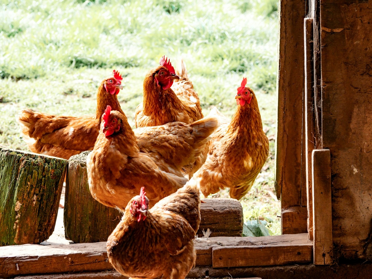 Seasonal Planning For A More Productive Harvest