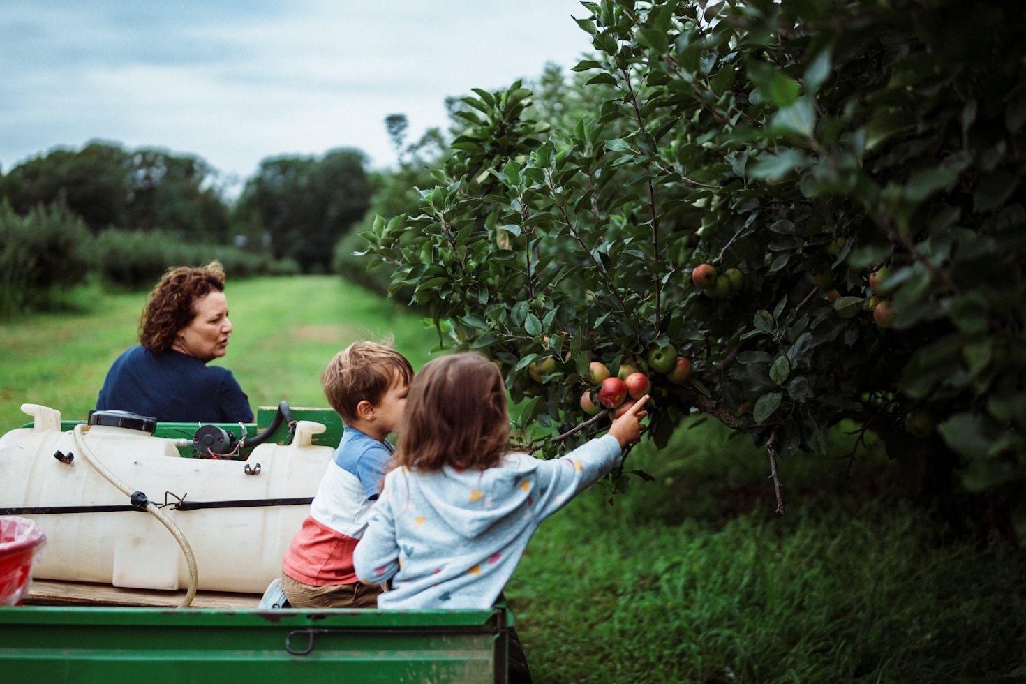 Educational Resources For The Aspiring Modern Homesteader